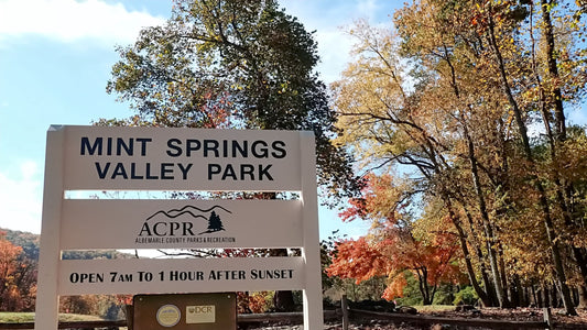 A relaxing fall walk at Mint Springs Valley Park in Crozet, Virginia