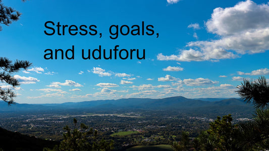 Stress, goals, and uduforu