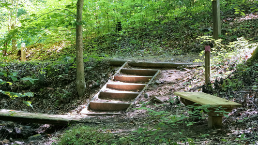 A picture of a woodland intersection of several paths that has a footbridge, a bench, and steps. Sunlight is beaming down on the steps.