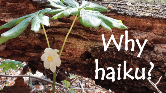 Why haiku?